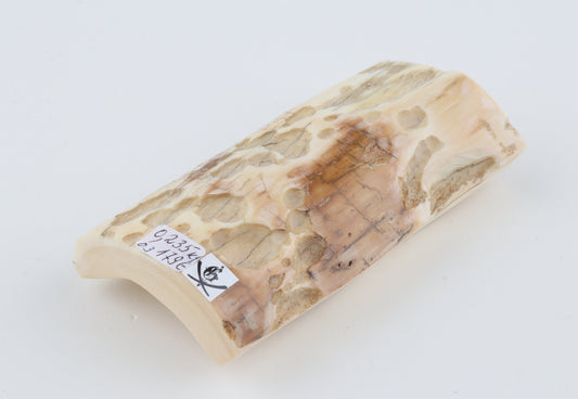 Natural mammoth ivory piece