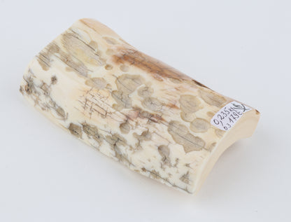 Natural mammoth ivory piece