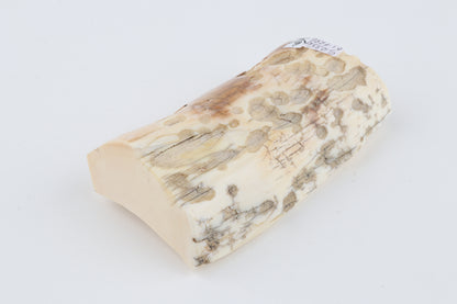 Natural mammoth ivory piece