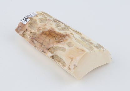 Natural mammoth ivory piece