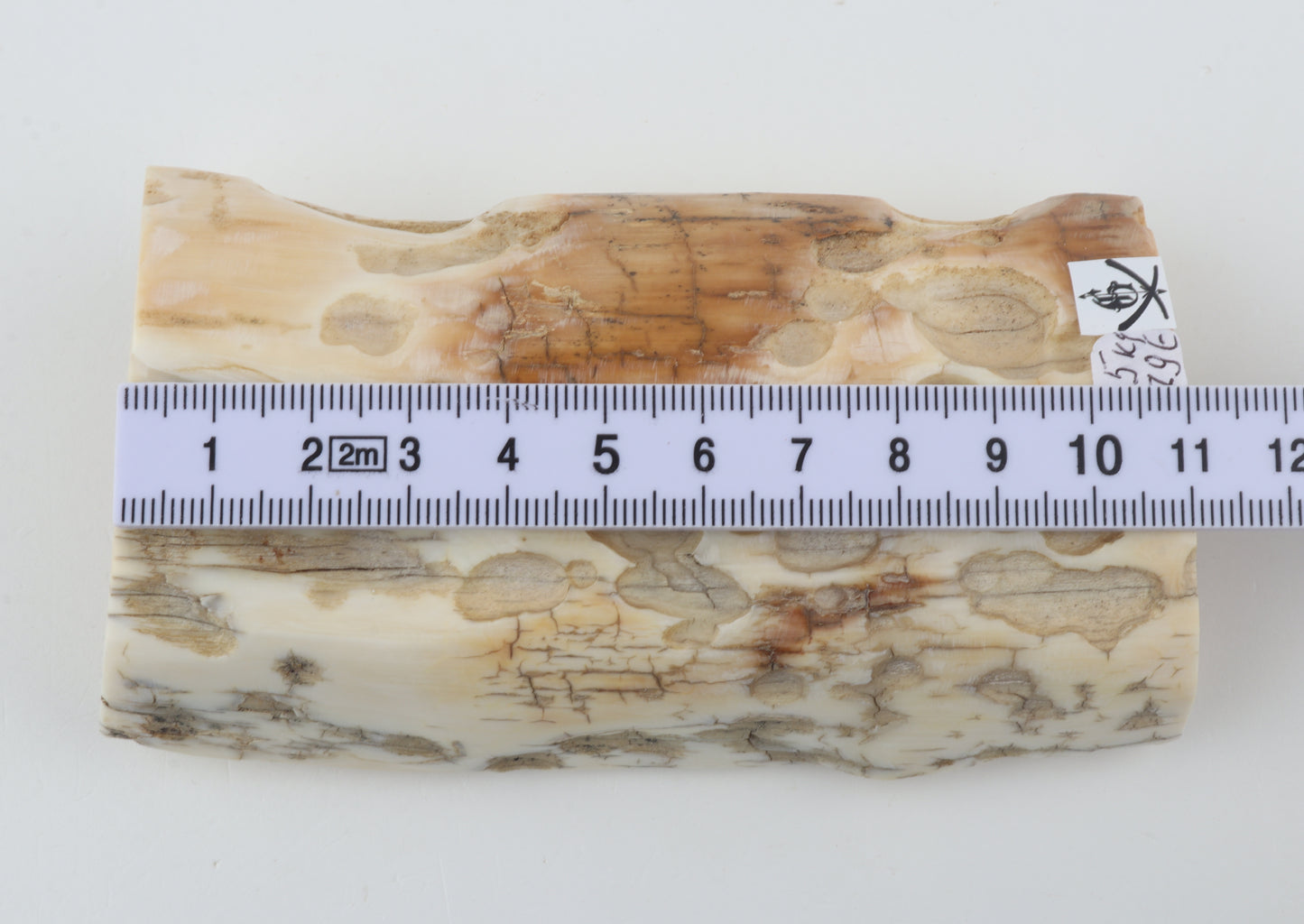 Natural mammoth ivory piece