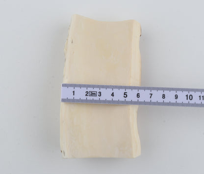 Natural mammoth ivory piece