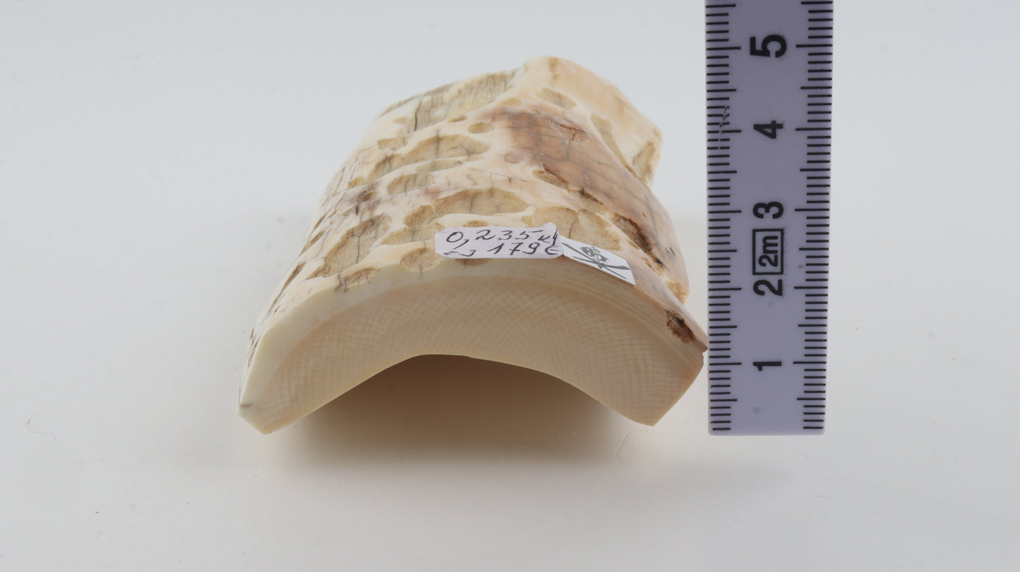 Natural mammoth ivory piece