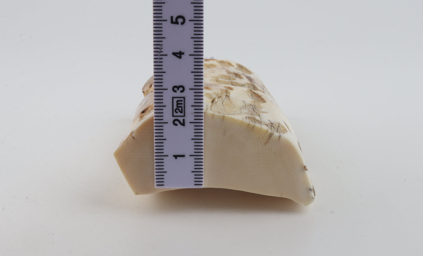 Natural mammoth ivory piece