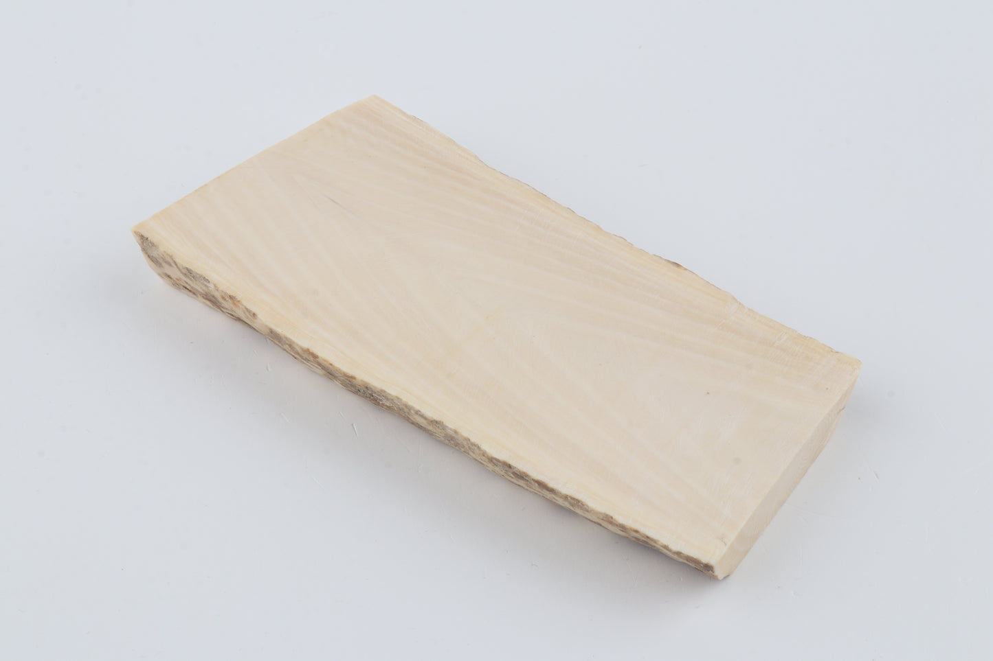 White mammoth ivory segment