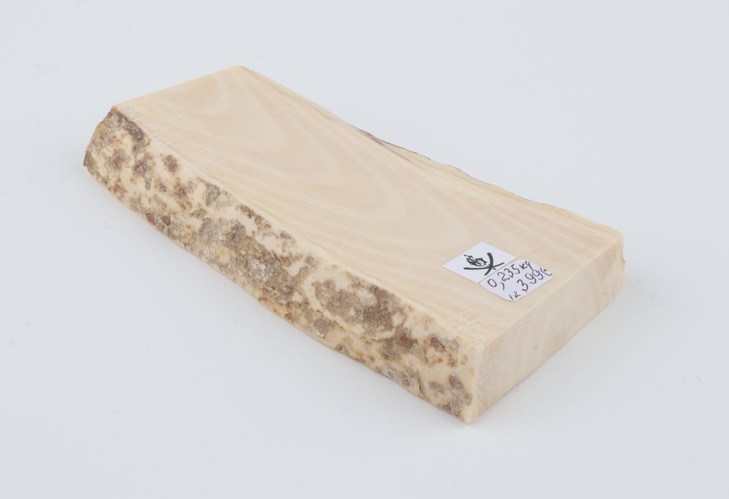 White mammoth ivory segment