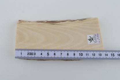 White mammoth ivory segment