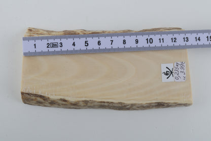 White mammoth ivory segment