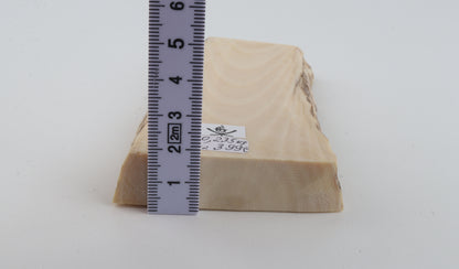 White mammoth ivory segment