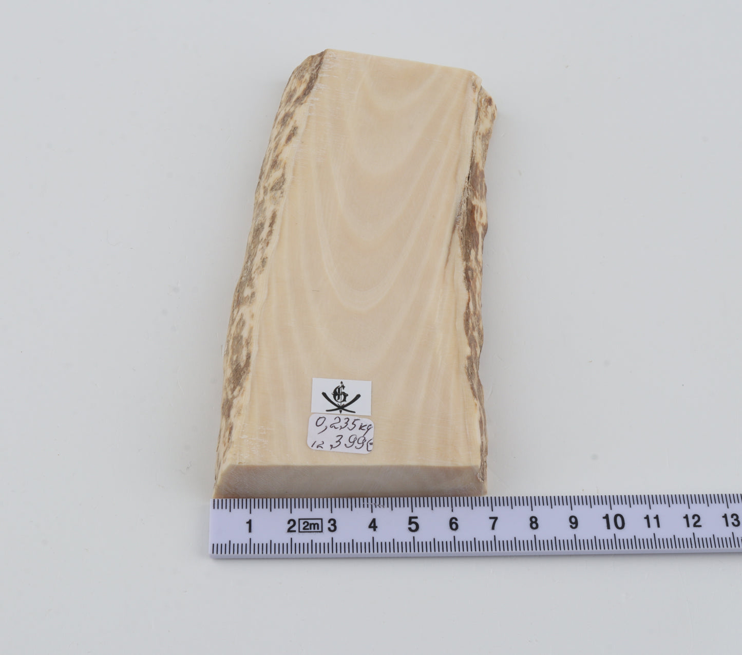 White mammoth ivory segment