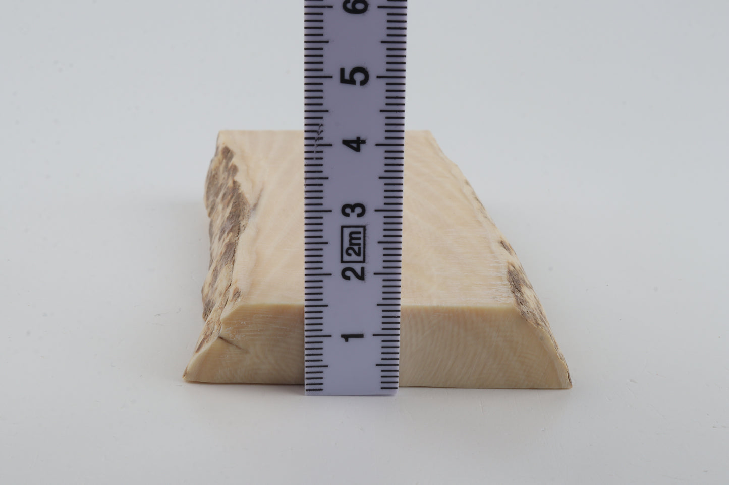 White mammoth ivory segment
