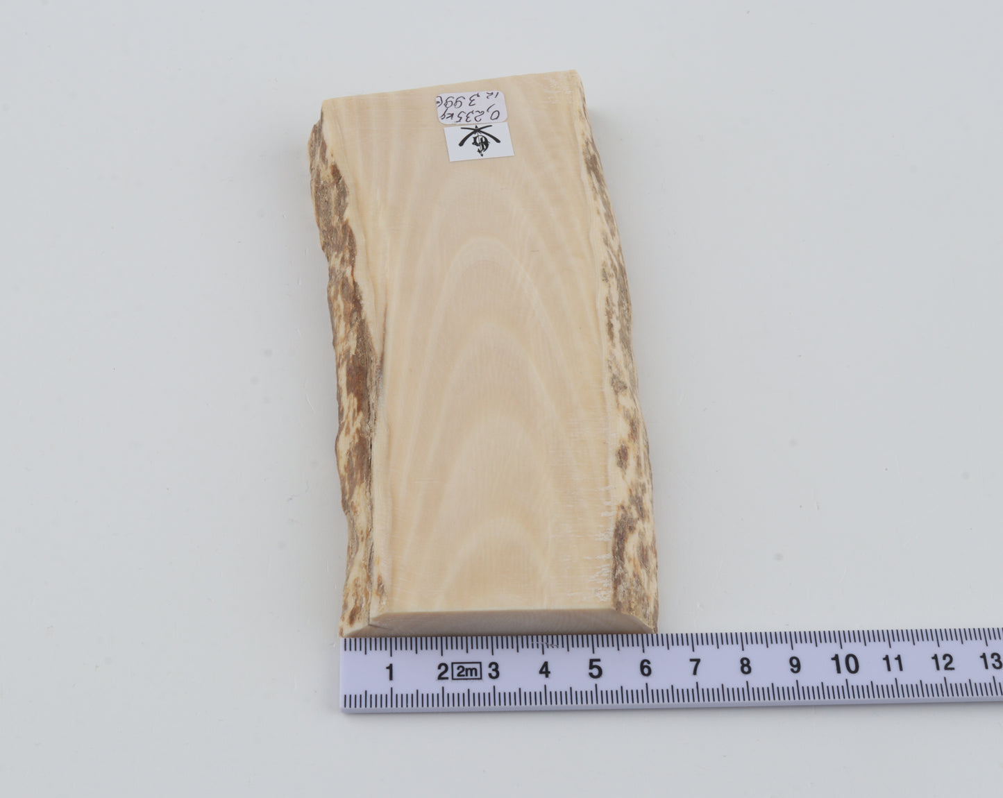 White mammoth ivory segment