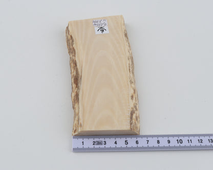 White mammoth ivory segment