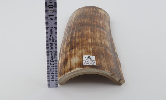 Orange-brown mammoth bark