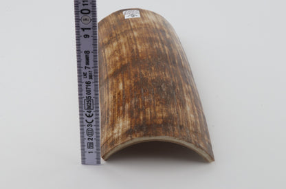 Orange-brown mammoth bark