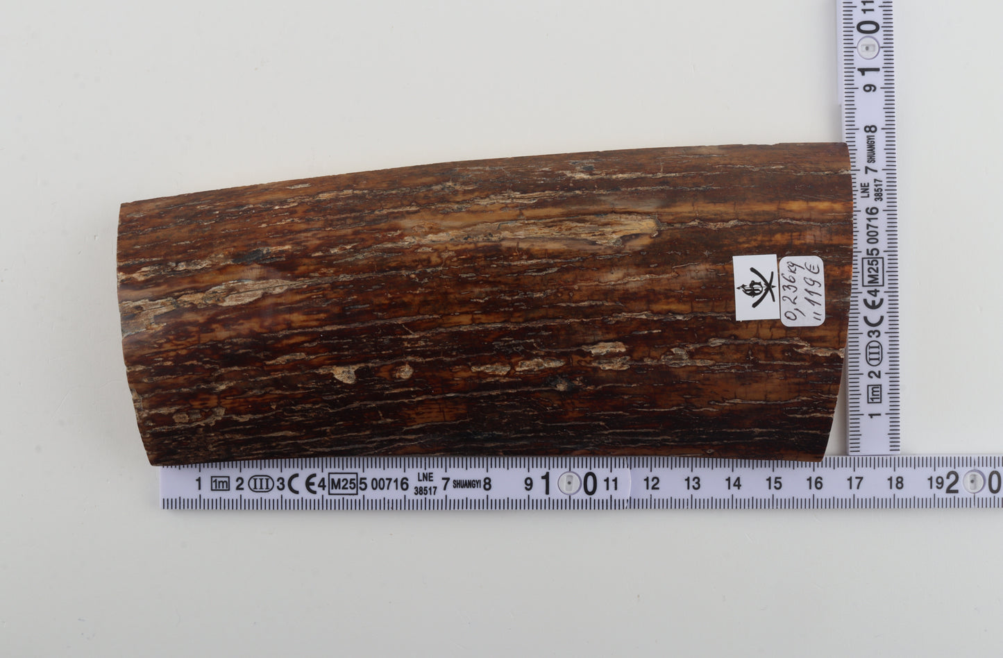 Brown-caramel mammoth bark