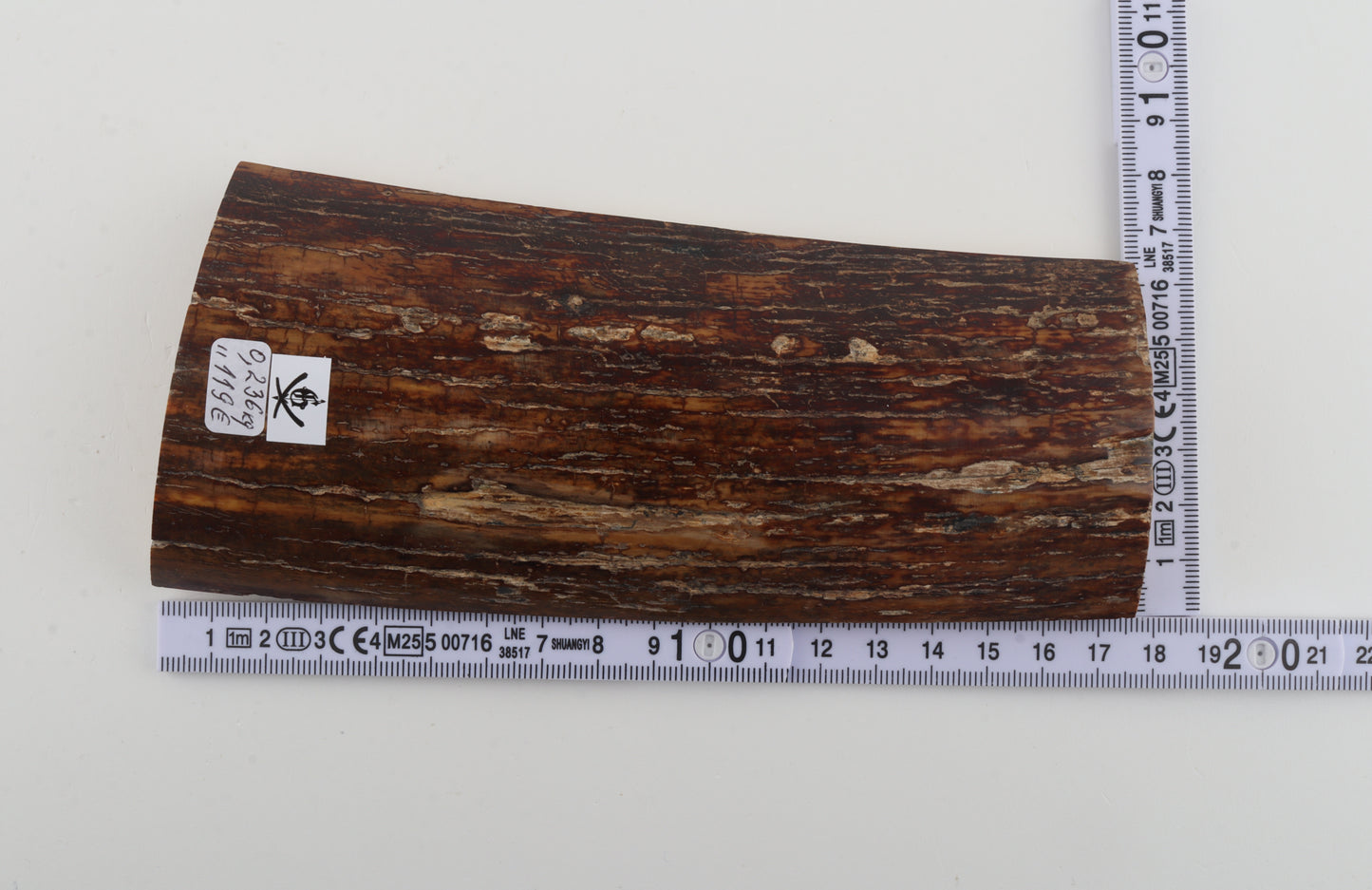 Brown-caramel mammoth bark