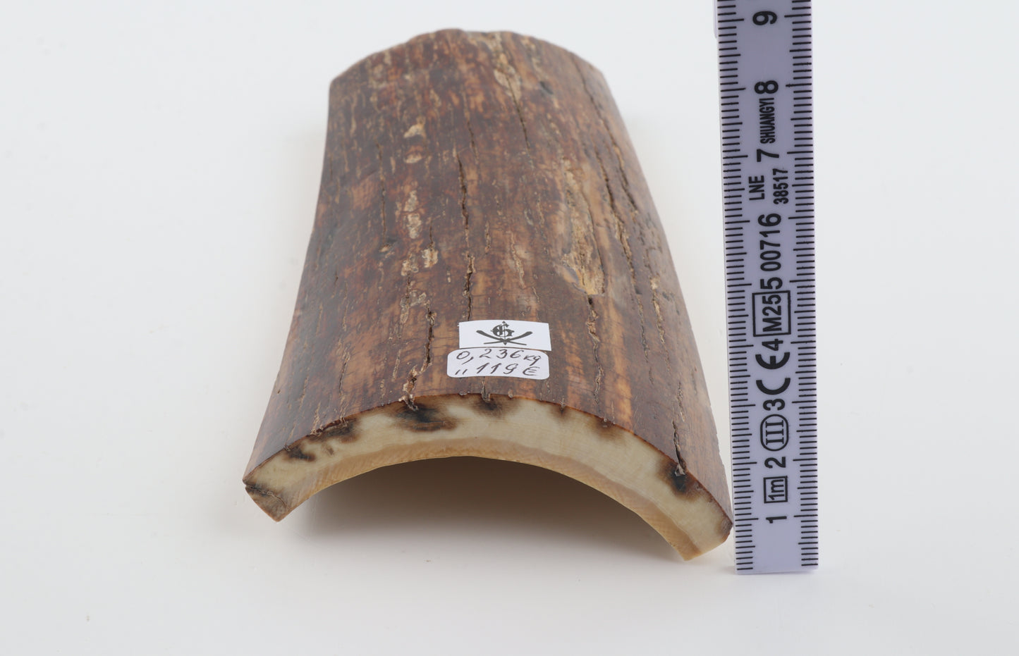 Brown-caramel mammoth bark