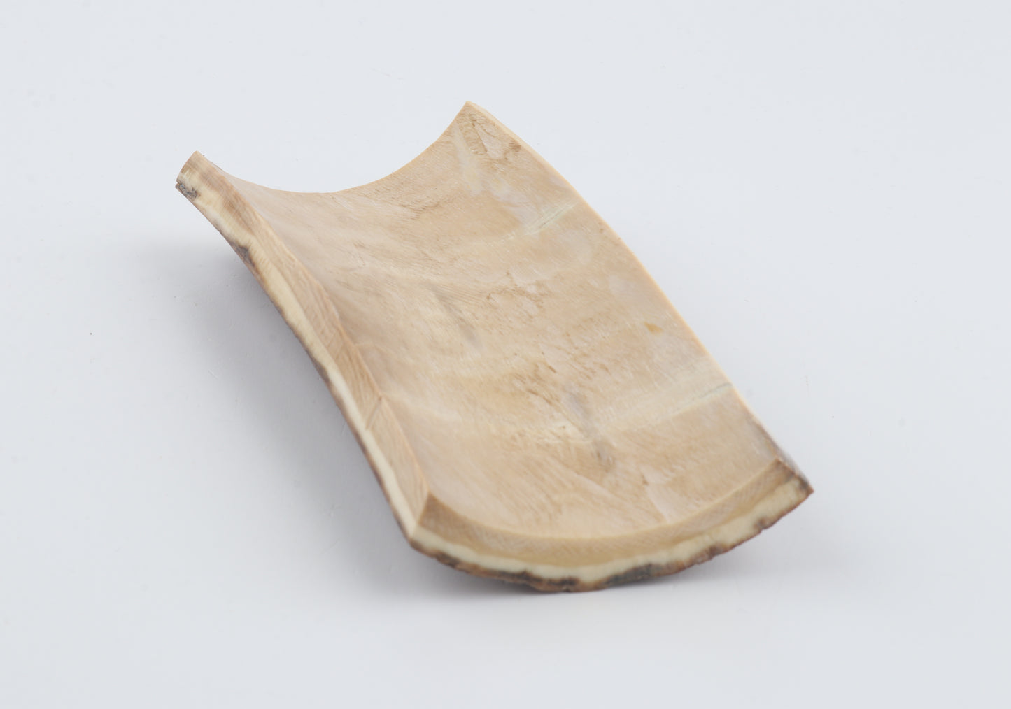 Brown-caramel mammoth bark