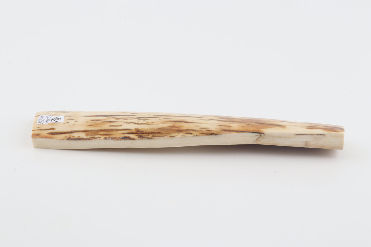 White-orange mammoth bark