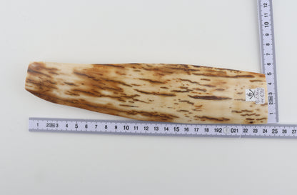 White-orange mammoth bark