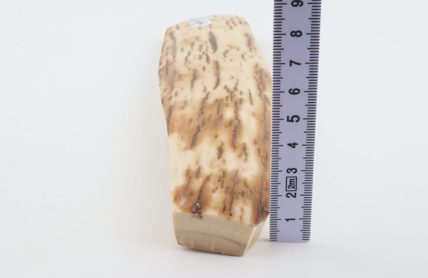 White-orange mammoth bark