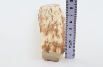 White-orange mammoth bark