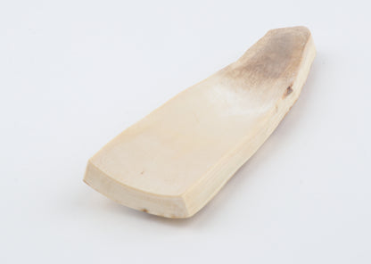 White-orange mammoth bark