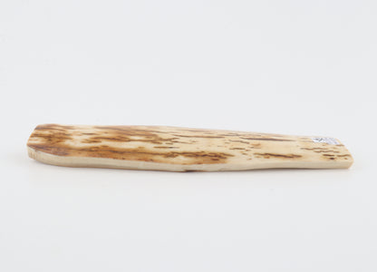 White-orange mammoth bark