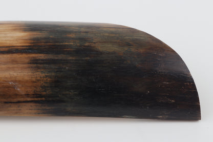 Natural woolly mammoth bark