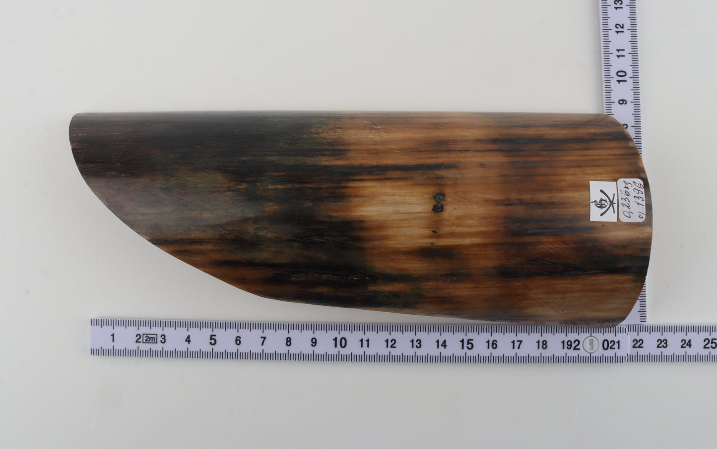 Natural woolly mammoth bark