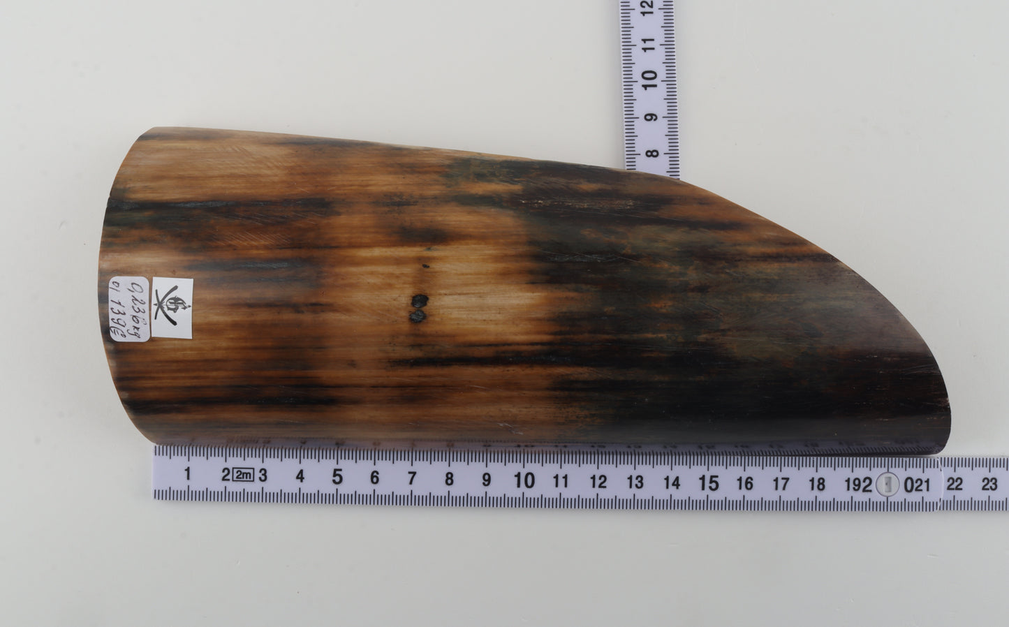 Natural woolly mammoth bark