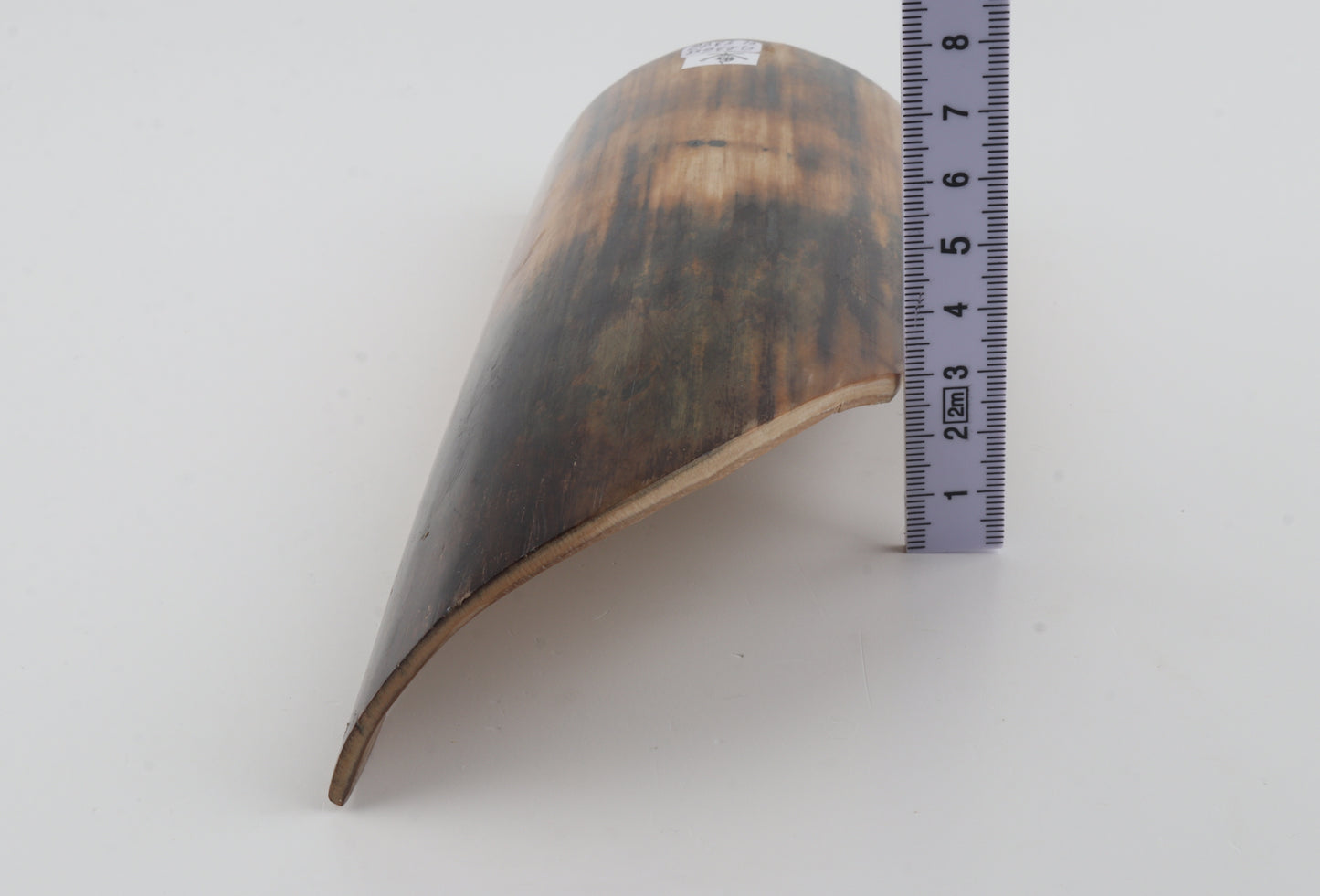 Natural woolly mammoth bark