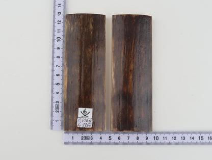 Natural mammoth bark scales