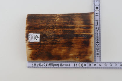 Brown-orange mammoth bark
