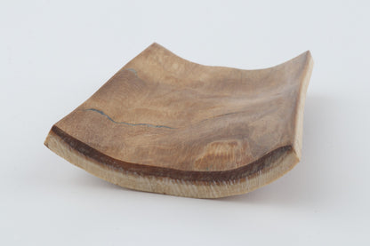 Brown-orange mammoth bark