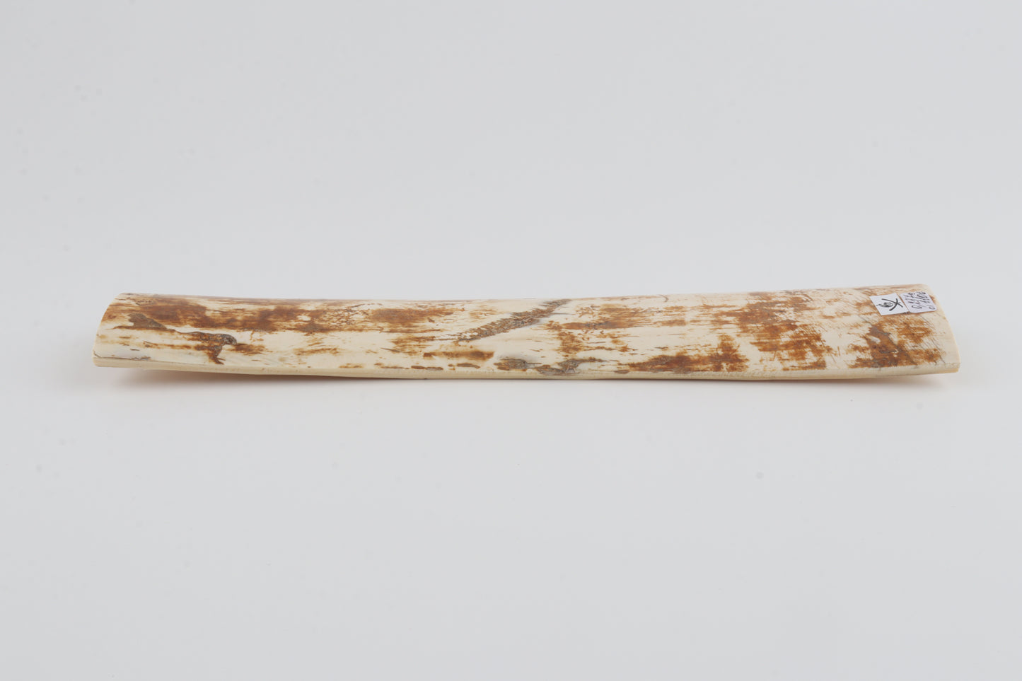 Beige-orange mammoth bark