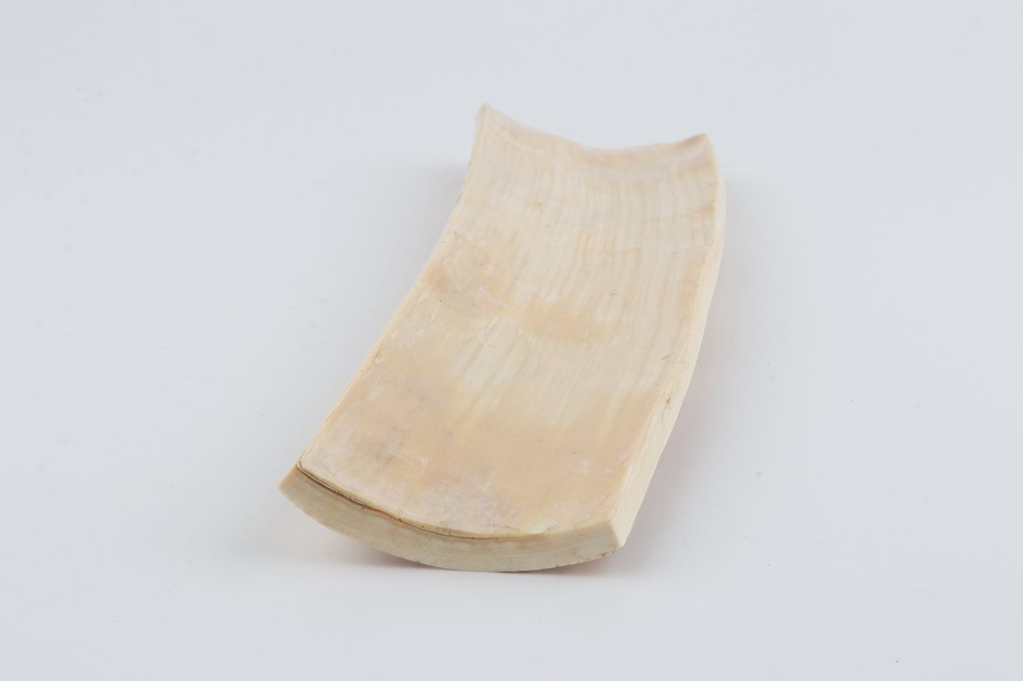 Beige-orange mammoth bark