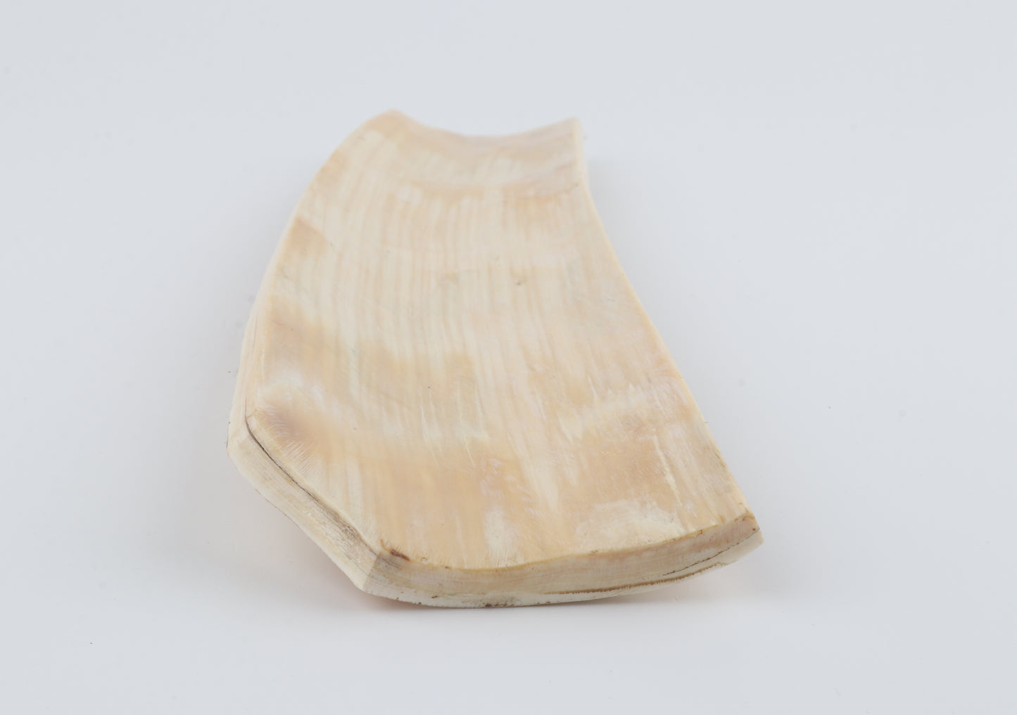 Beige-orange mammoth bark