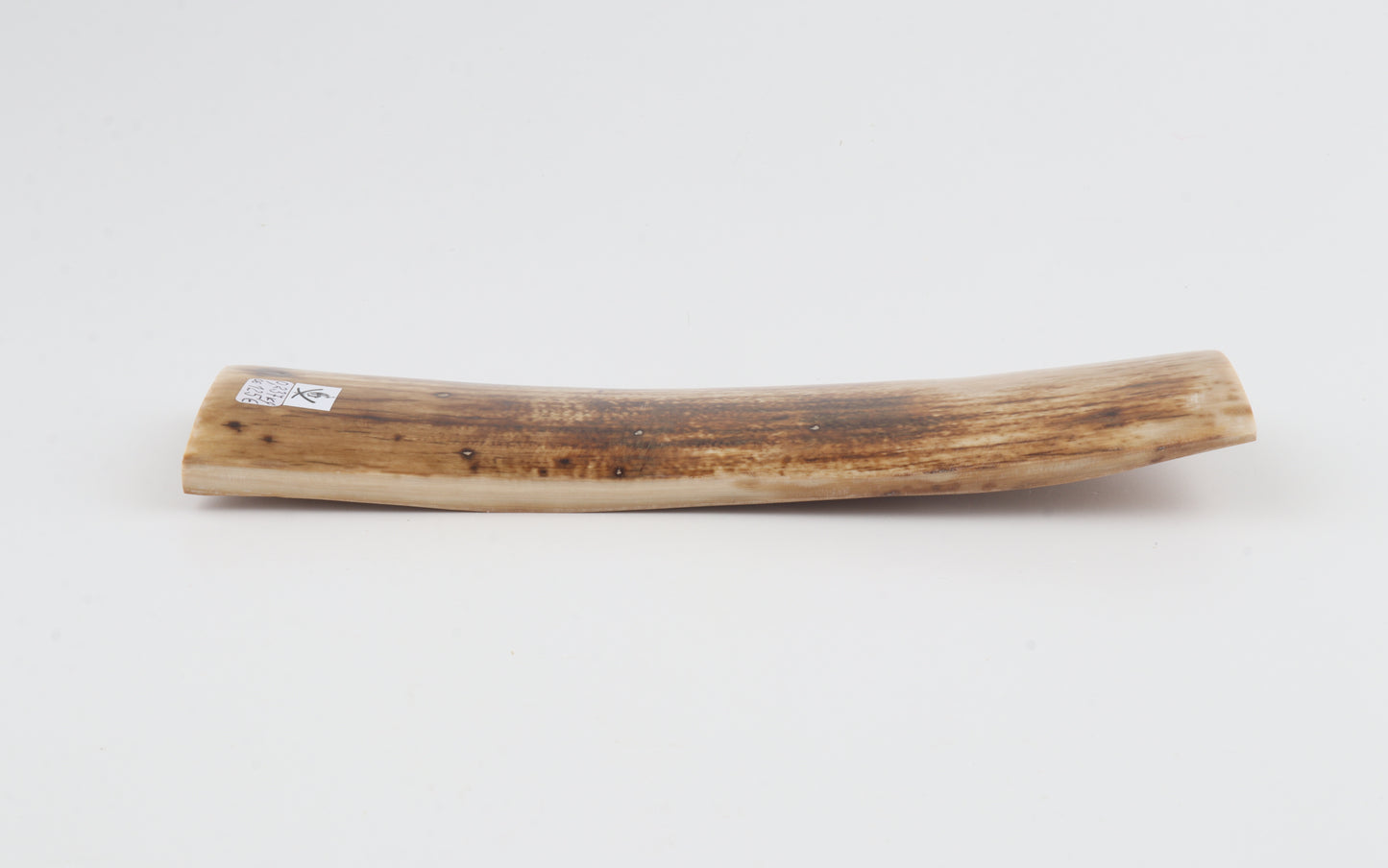 Natural woolly mammoth bark