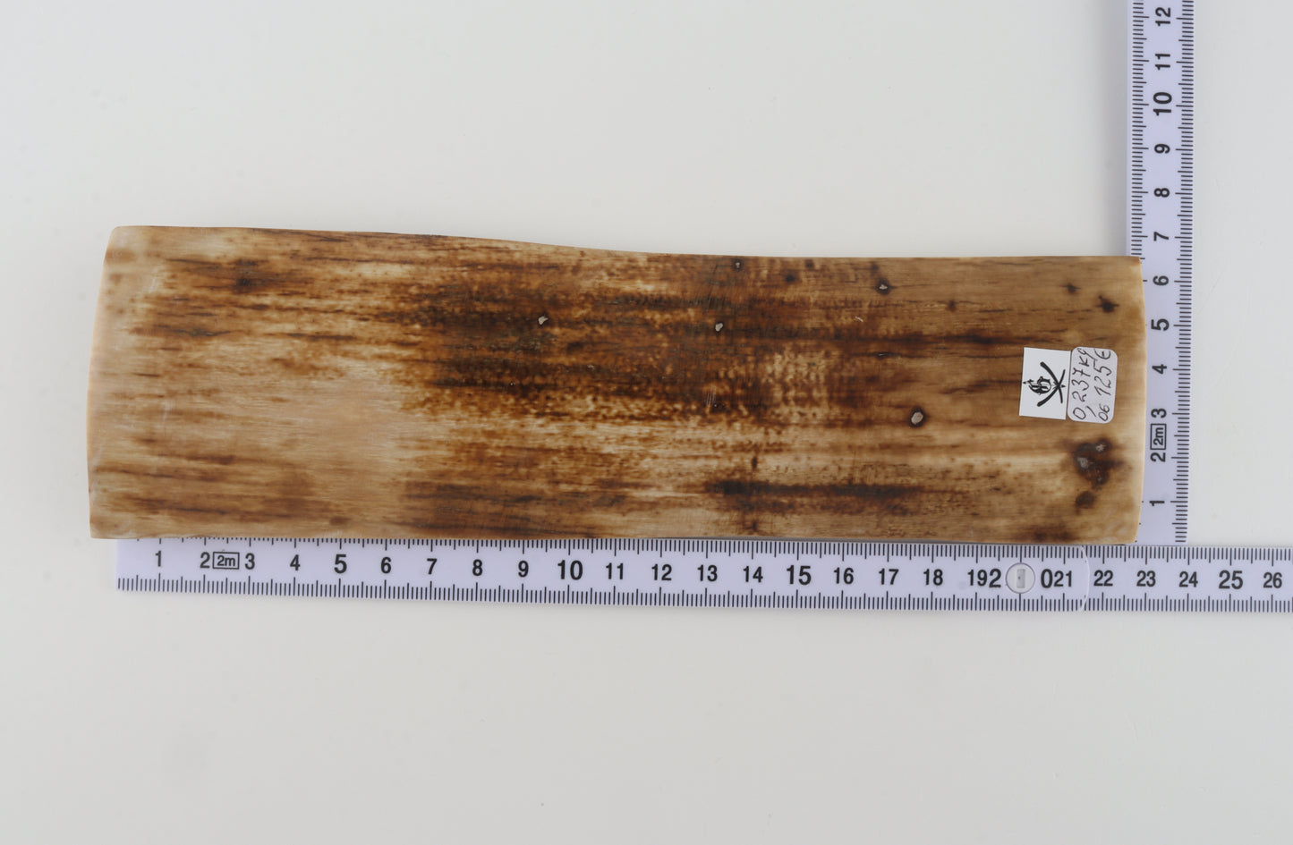Natural woolly mammoth bark