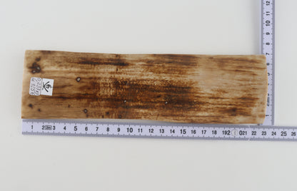 Natural woolly mammoth bark
