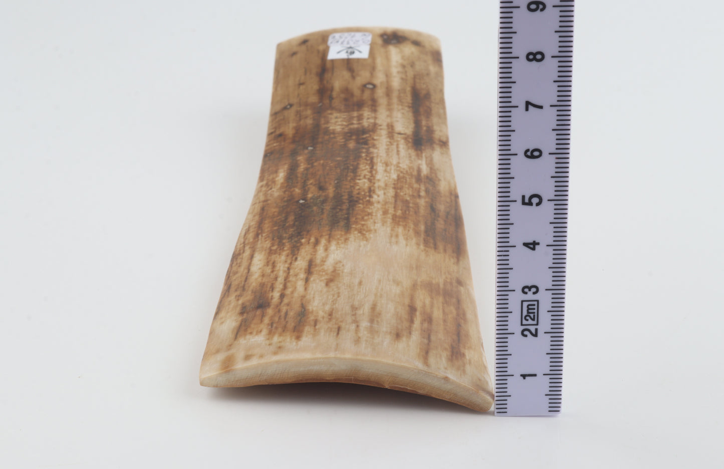 Natural woolly mammoth bark