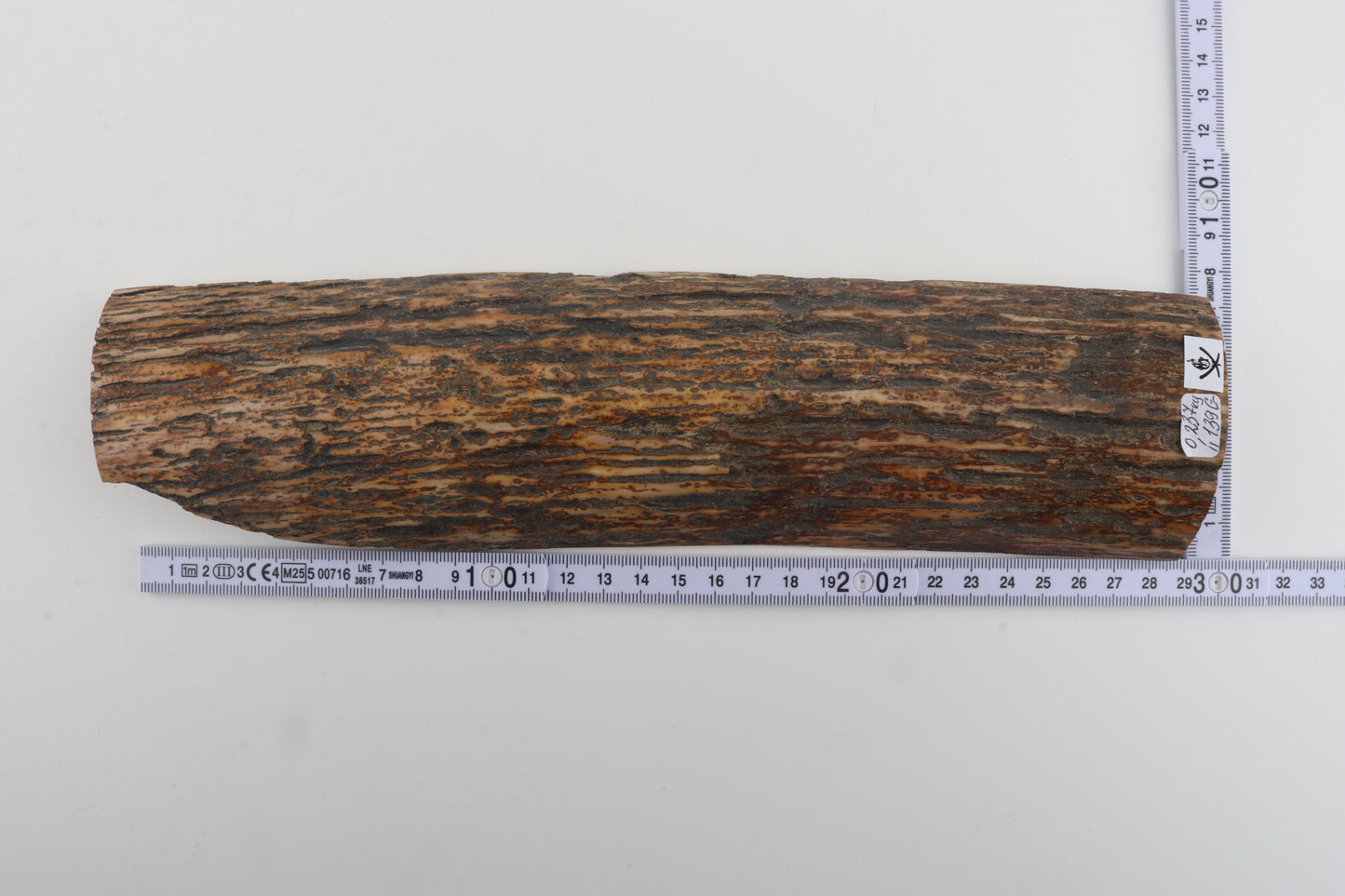 Multicoloured mammoth bark