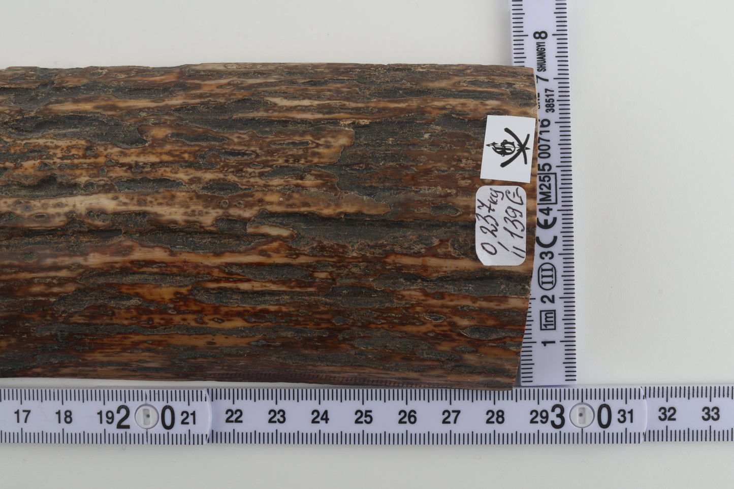 Multicoloured mammoth bark