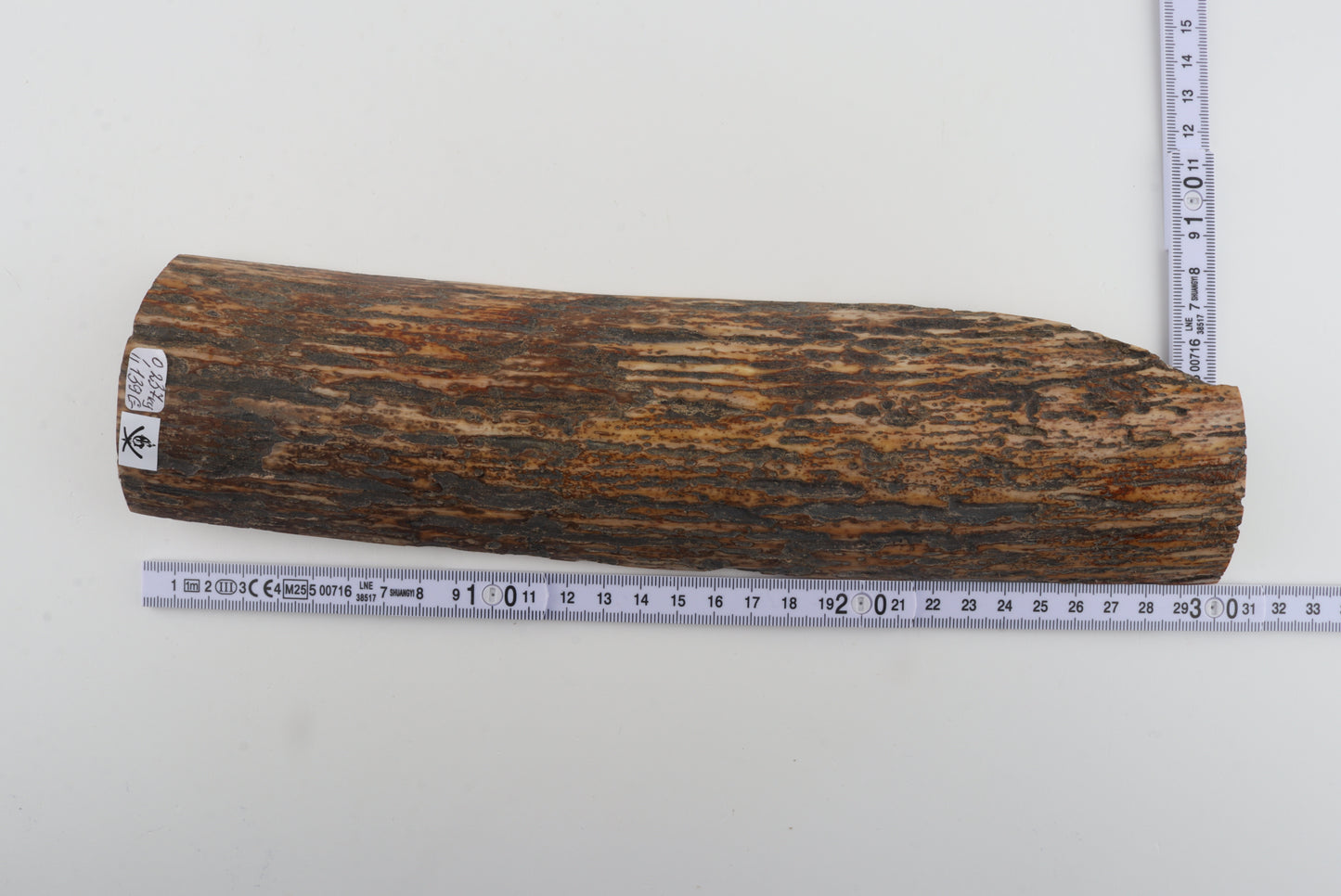 Multicoloured mammoth bark