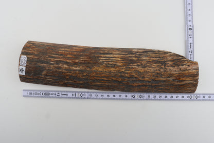 Multicoloured mammoth bark