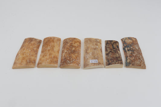 Natural mammoth bark pieces