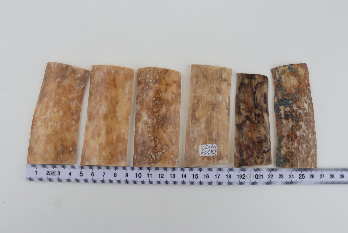 Natural mammoth bark pieces