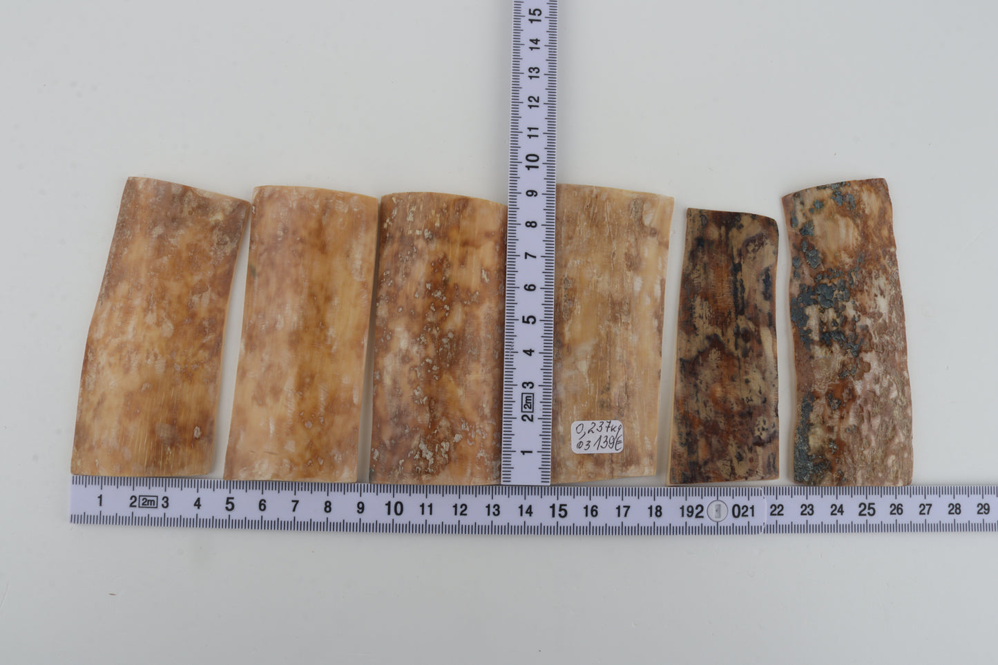 Natural mammoth bark pieces